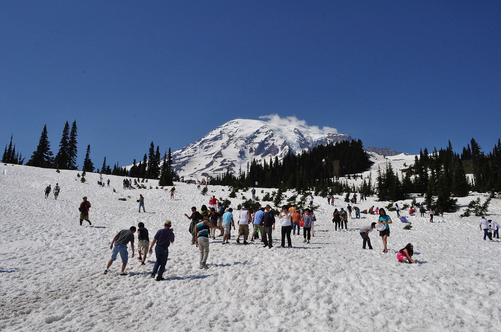 Peolple playing in the snow at Mount Rainier's Paradise Meadow in July