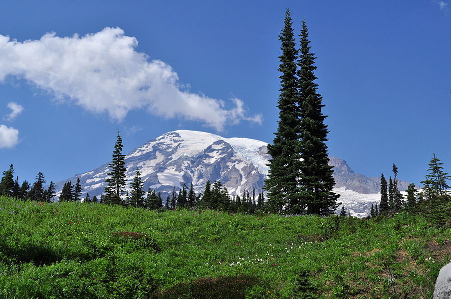 Mount Rainier from Paradise Meadow